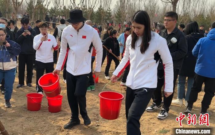 为纪念第十二个国际森林